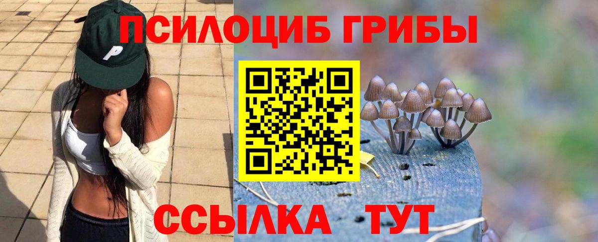 Псилоцибиновые грибы Cubensis Шарыпово