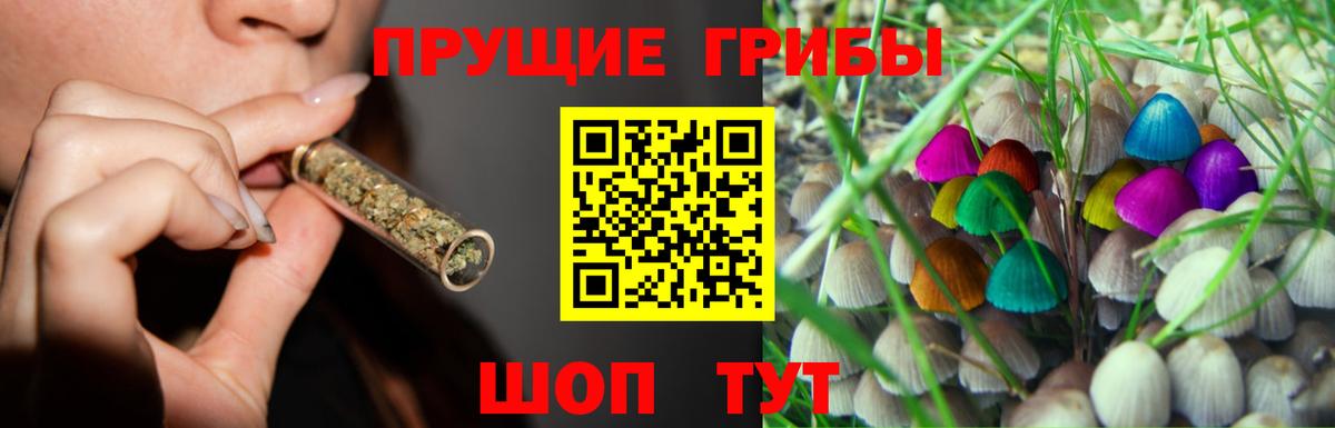Шарыпово  Галлюциногенные грибы Cubensis  Вход с VPN 